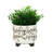 S/2 Ceramic 6/8" Scribble Footed Planter