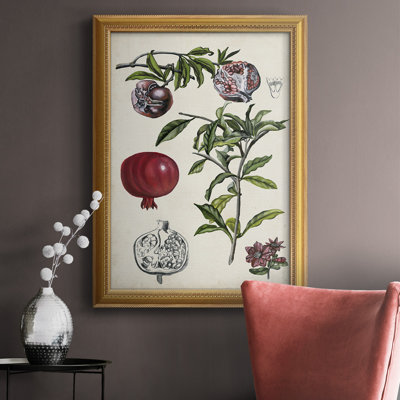 " Pomegranate Composition I " Painting Print