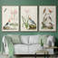 Oiseaux antiques dans la nature IV, 3 pièces-1662166644-1662166645