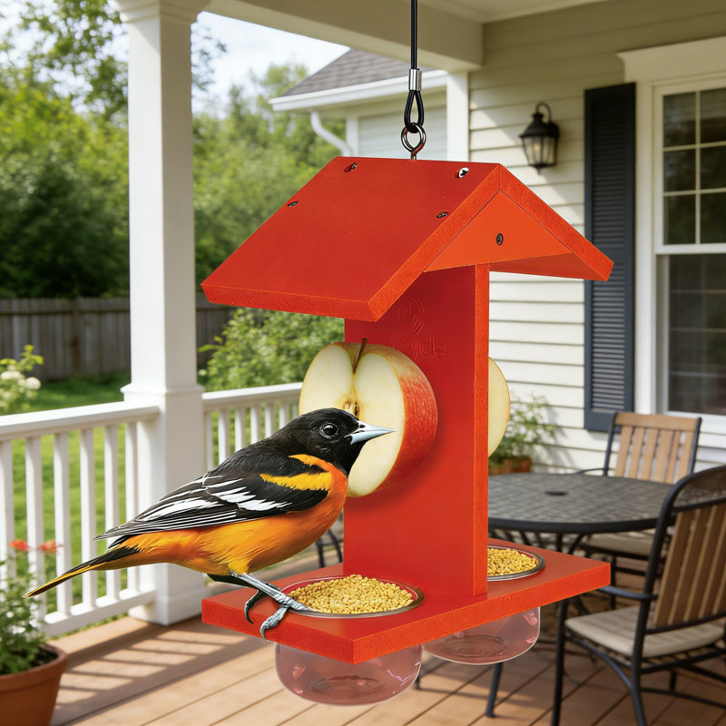 Mangeoire pour oiseaux Oriole