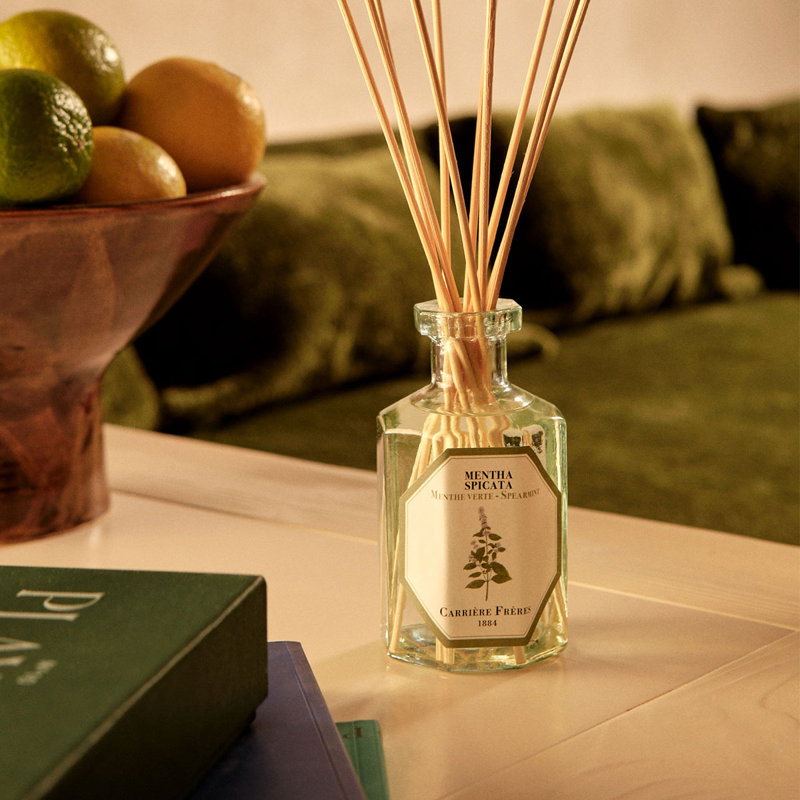 Rose Mint Diffuser, Spearmint