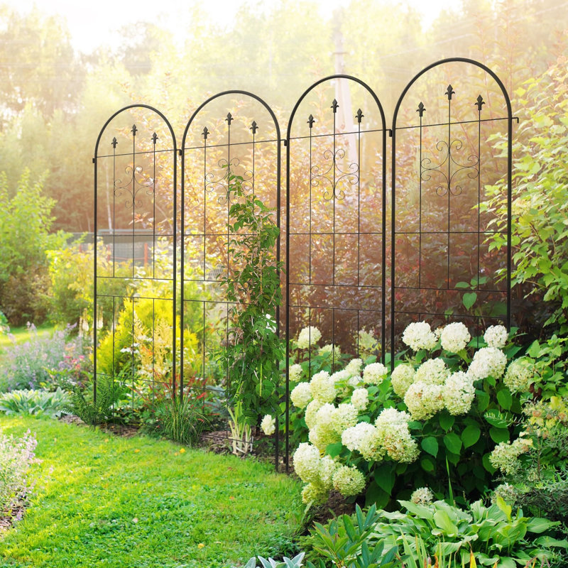 180cm H x 50cm W Steel Fan Trellis