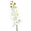 Pulvérisateur en faux orchidée phalaenopsis-190220914