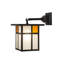 1 - Light Outdoor Wall Lantern