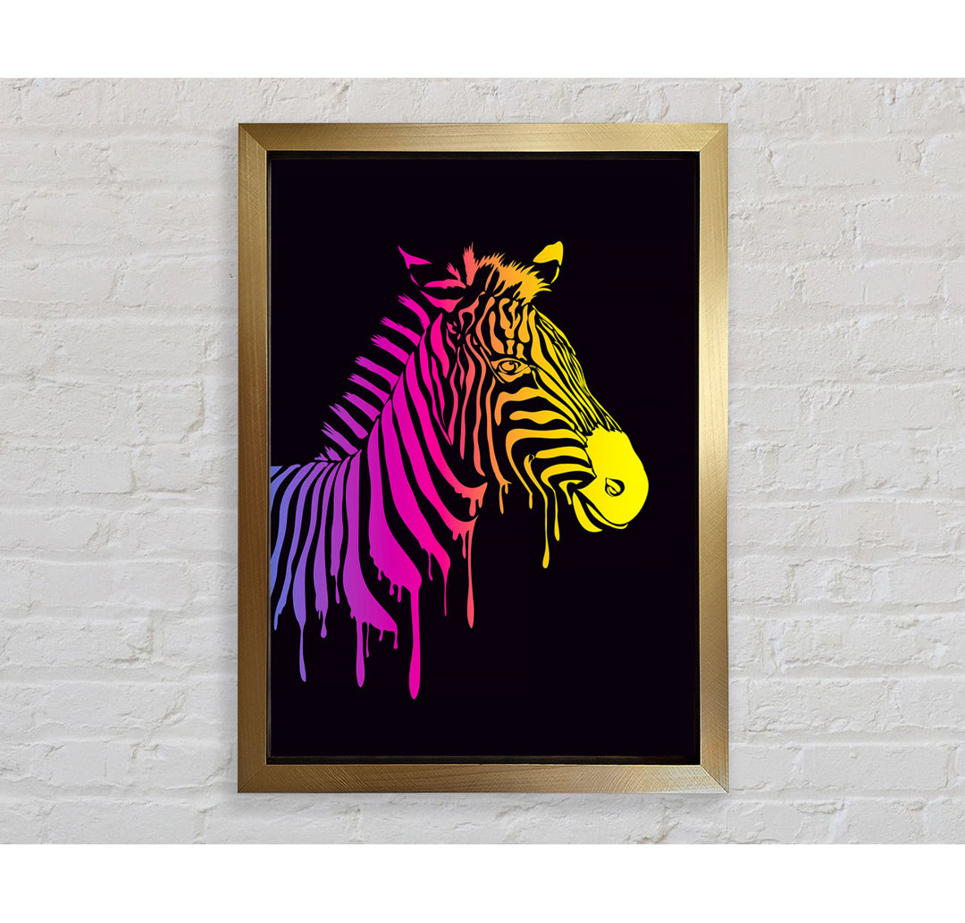 Zebra Regenbogen - Druck