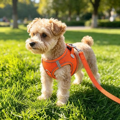Vest Style Dog Chest Harness, Mesh Breathable Pet Walking Harness, Blue,M Size Equipped with 1.5m Flat Traction Rope for Daily Dog Outdoor Walking, 2 Pieces