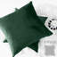 Square Luxury Velvet plush Cushion cover sofa throws Pack of 2-603115847