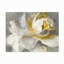 Décoration murale abstraite d'extérieur rose-632035314