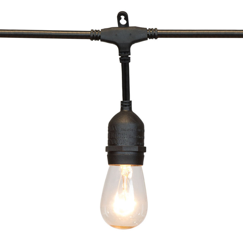 288'' String Lights