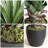 Agave Artificial Plant With Pot-1998816586
