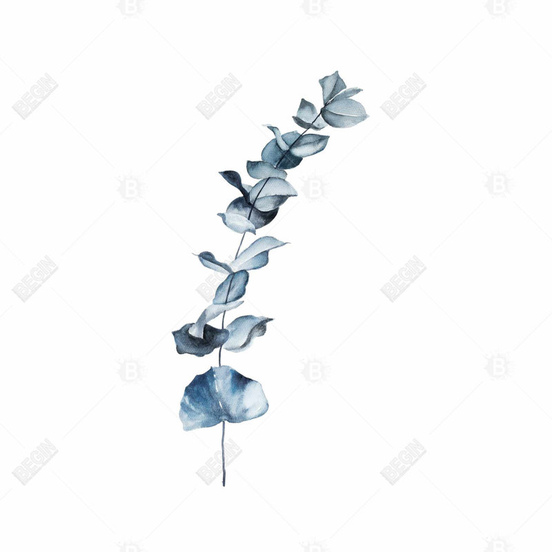 «Eucalyptus Blue Leaves» sur toile, H 36 po x l 36 po