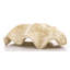 Hexham Decorative Object