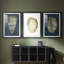 Coquille en feuille d'or I sur cobalt - reproduction sur mesure encadrée de qualité supérieure - 3 pièces-405913204-405913207