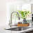 OAKLAND Single Handle Pull Down Kitchen Faucet-101054519