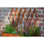 Elevated Planter with Trellis-926903292