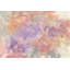 Freesia intime-1730175363-1730175387-1711369907