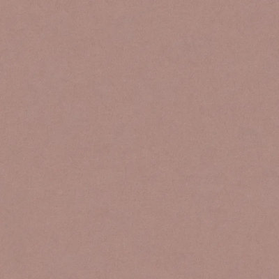 Blush Pink Sample