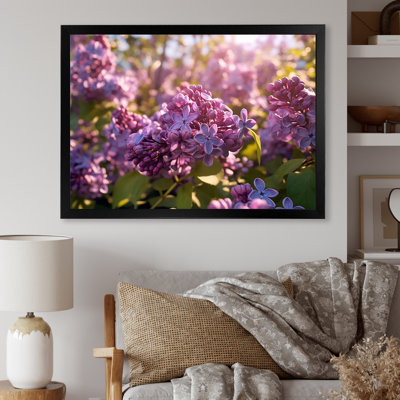 " Purple Lilac Fragrant Blossoms V "