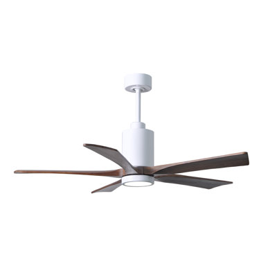 Patricia 52'' Ceiling Fan with LED Lights