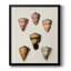 Toile encadrée de qualité supérieure Cone Shell Collection IV - prête à être accrochée-1611294326-1611294300