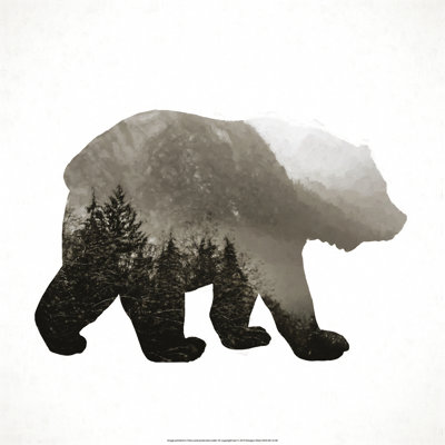 Forest Bear - Wrapped Canvas Print