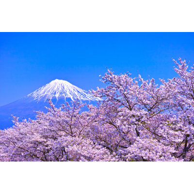 Roberta Mount Fuji - Wrapped Canvas Print