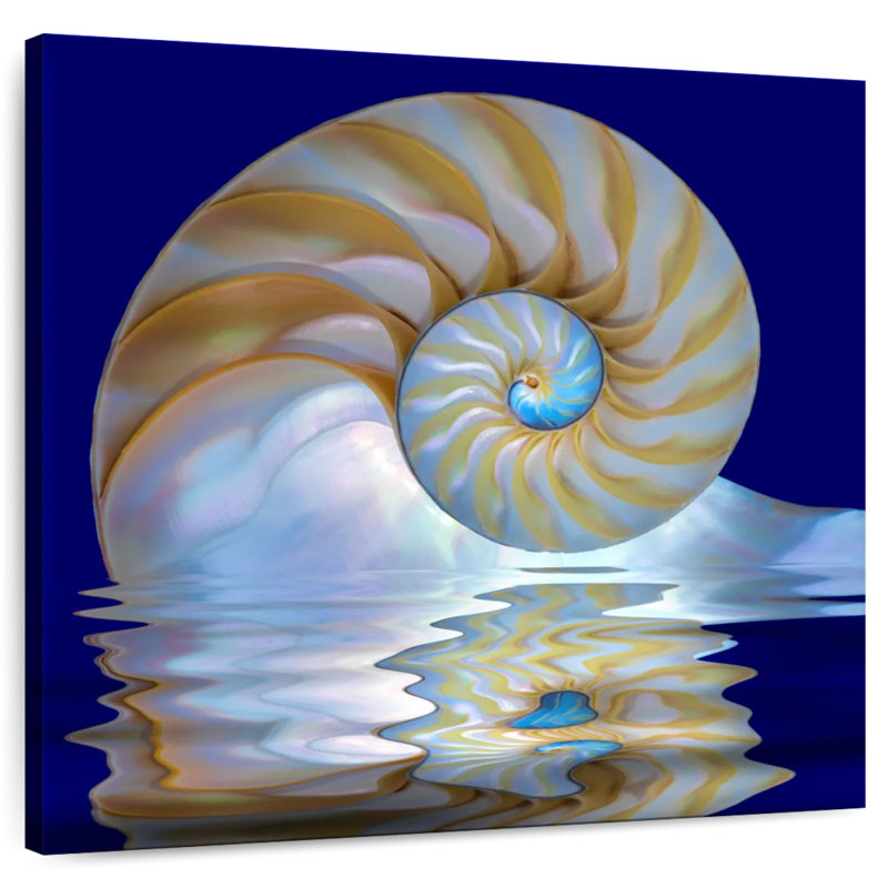 Aletra Nautilus sur l'eau, H 16 po x l 16 po