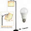 Lampe sur pied arquée 61,8 po