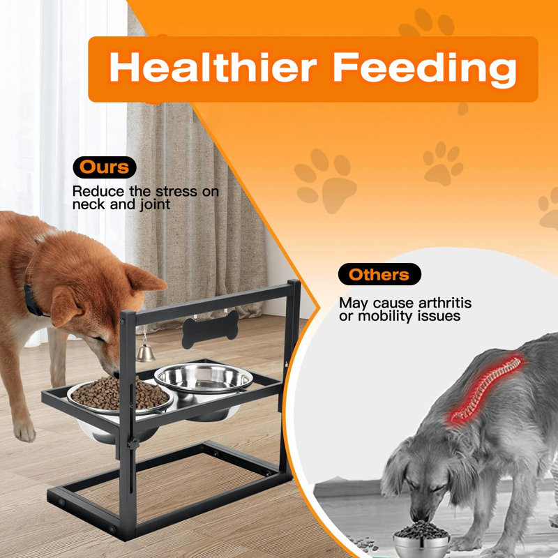 Mangeoire pour chien