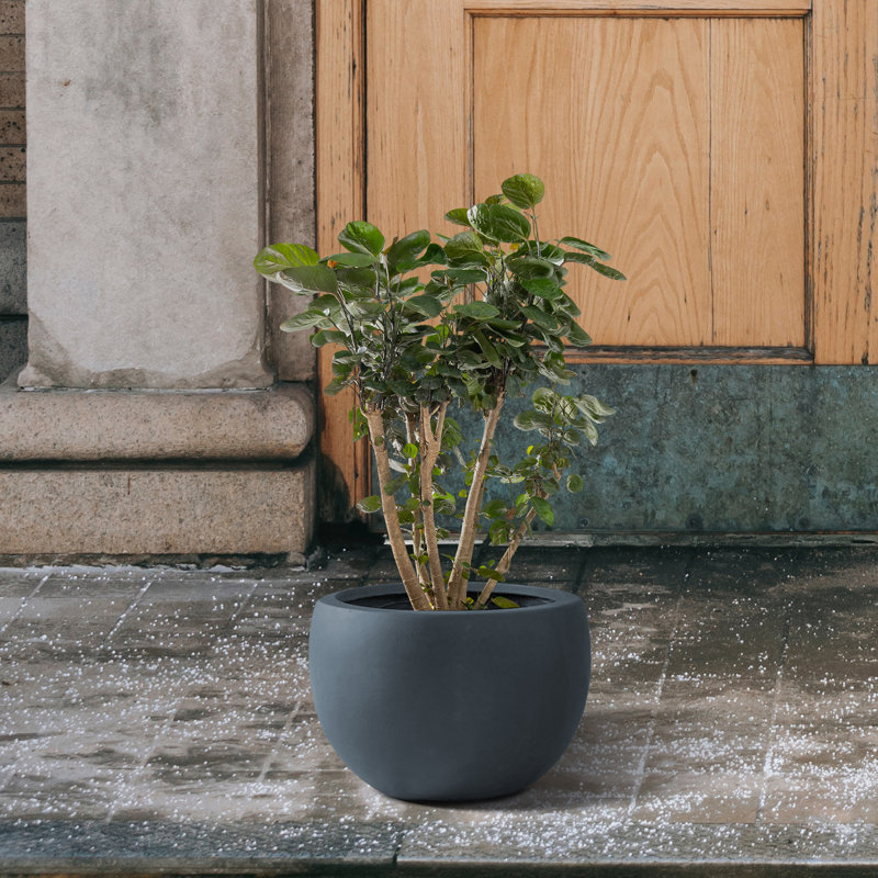 Pot de fleurs en caoutchouc