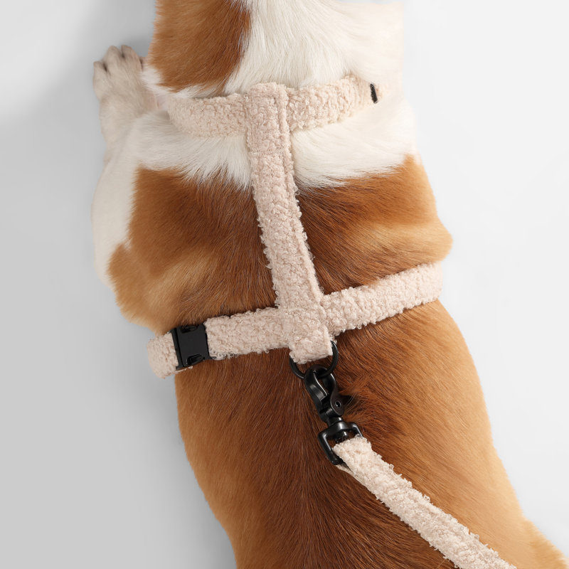 Ensemble de promenade à harnais et laisse réglable Teddy Bouclé, Beige