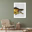 Art sur toile tendue Astoria Grand Fab Funky Gallery: Great Hog Fish-1337451964