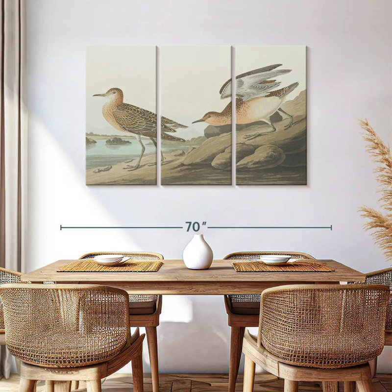 Brampt Buff Breasted Sandpiper, 36" H x 57" W