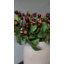 Montana Rose Hip Faux Floral-1231080852-1231080853