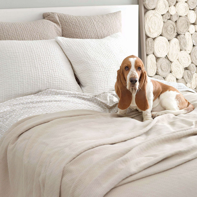 Seychelles Quilted Sham, Standard, Dove White