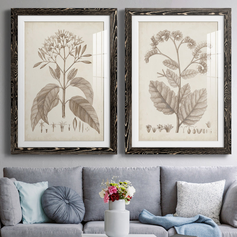 Antique sépia botanicals III - ensemble de 2 reproductions d'art sur papier encadré, H 31,5 po x l 47 po x P 1,5 po