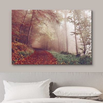 Autumn Fall " Path In The Red Pine Tree Forest "