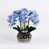 Blue/White