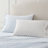 Martha Stewart Cotton Percale  Sheet Set-124927707-115629662