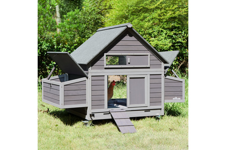 gray chicken coop filled with hens