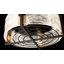 Ventilateur D'Lier 4 lumières Hayward en noir mat avec accents laiton chaud