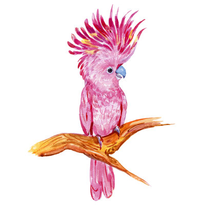 Pink Cockatoo - Painting Print