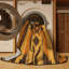 Tapis Cliff Dweller-471194929