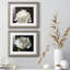 ALL AFLUTTER - ensemble de 2 reproductions-1761994147-1761994159-1778156556