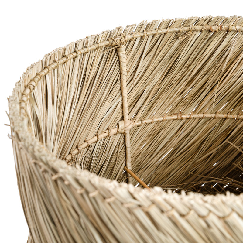 Remi Terracotta - Grass Novelty Lamp