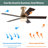 Carthel 5 - Blade 6 Speed Ceiling Fan Light with Remote Control for Bedroom Kitchen -1654484437