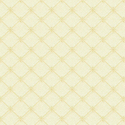 Basics Fabric