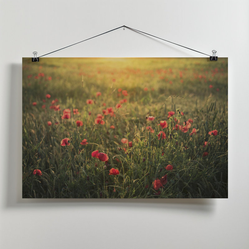 Wrapped Canvas Print, 60.96cm H x 91.44cm W