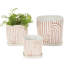 Ensemble de pots à fleurs en céramique 3 pièces Cole and Grey-1460103645