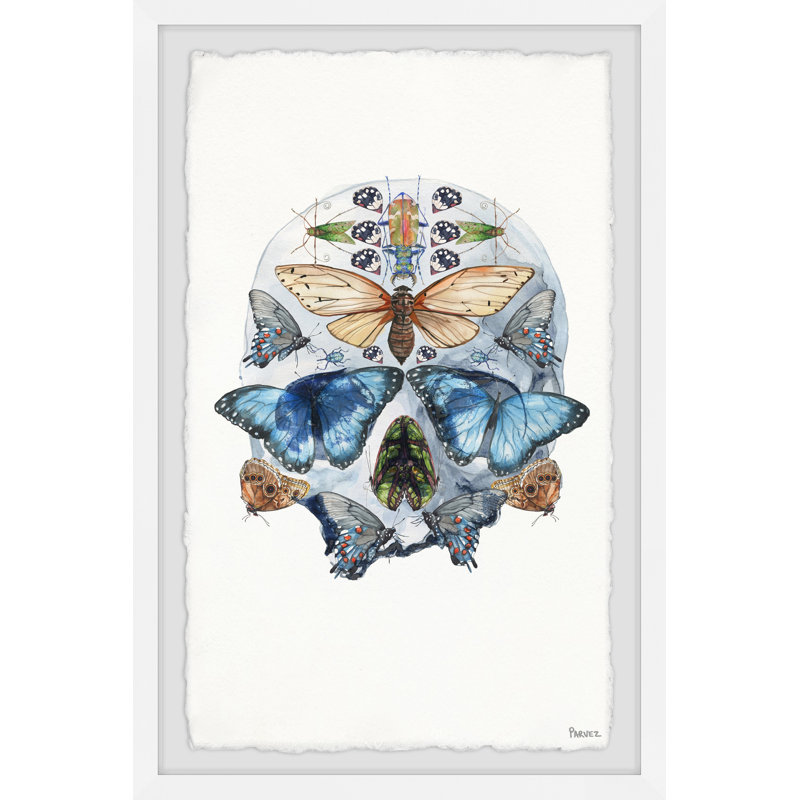 Half Butterfly Skull by Parvez Taj - Single Picture Frame Print, 45 cm H x 38 cm W